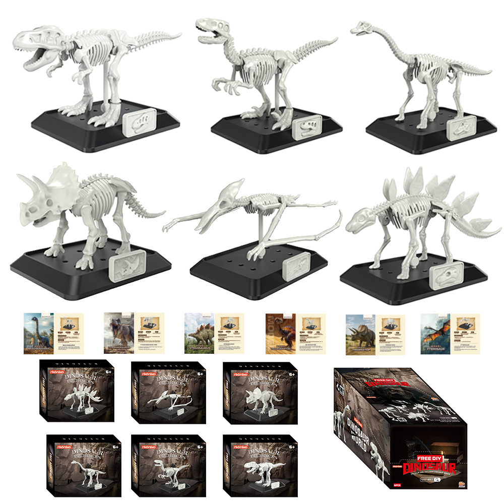 Model Kit Dinosaur - Model Kerangka Dinosaurus Plastik Fosil Dinosaurus